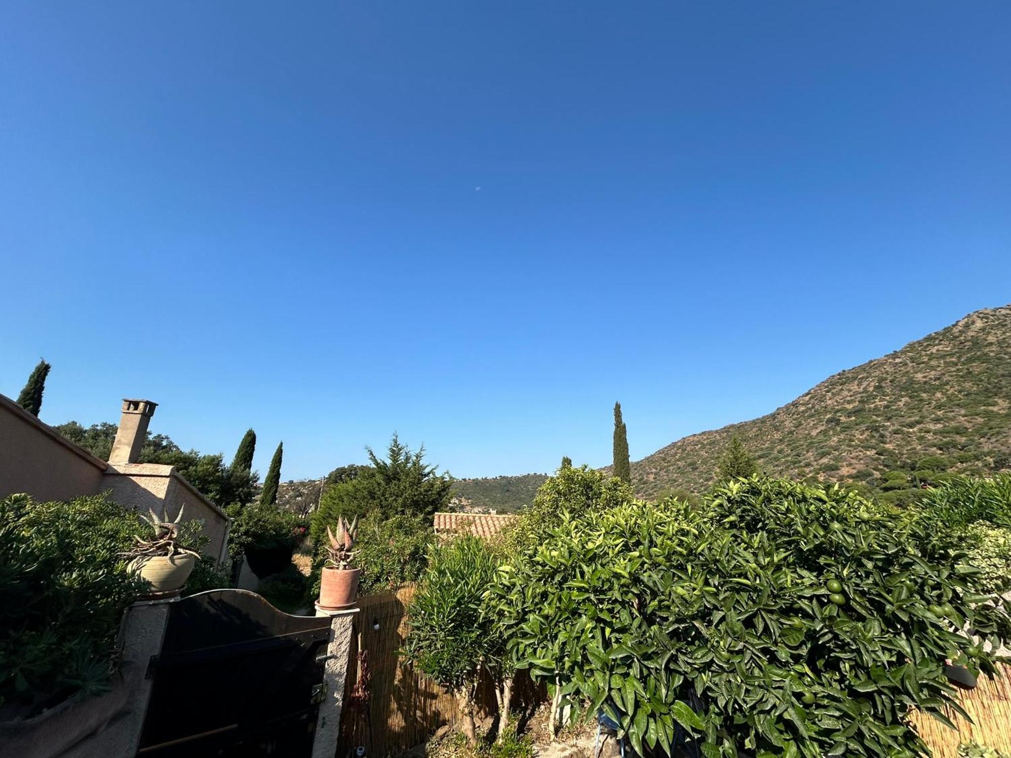 Mazet Tres Calme, Dans La Colline, 10 Mins A Pied * Le Lavandou